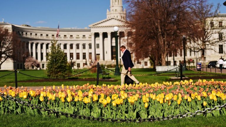 Denver diverts flower bed funds to flow to migrants