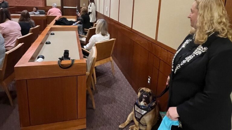 Las Vegas non-profit promotes therapy dogs to help kids on the witness stand – KLAS – 8 News Now