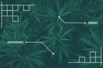 Weed Explainer Texas Cannabis Cannabinoids Thc.jpg