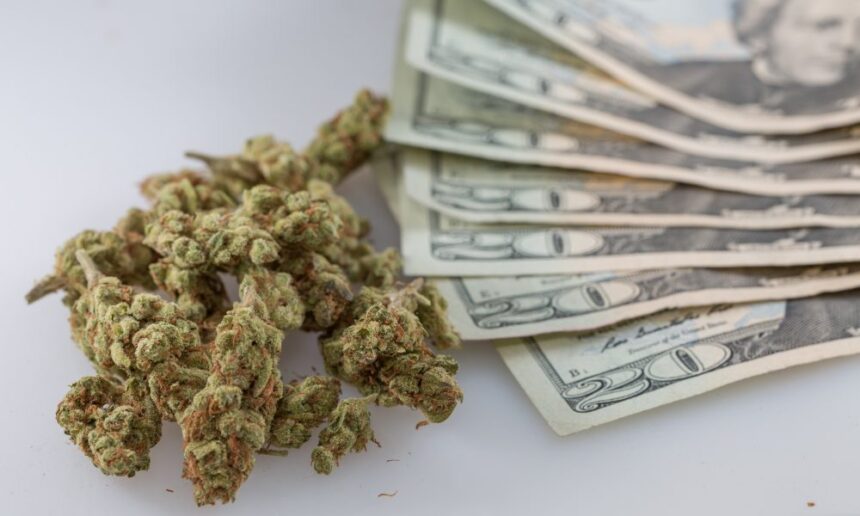 Marijuana Money Cash 6 1000x600.jpg