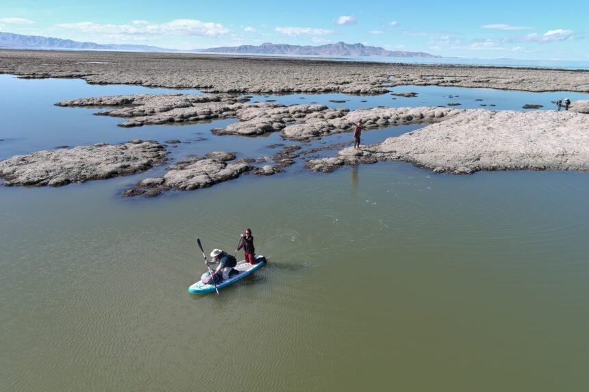 Reef Paddle Scaled.jpg