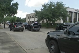 15009540 062824 Ktrk Ewn 4pm Richmond Ave Robbery Dhu Mg Vid.jpg