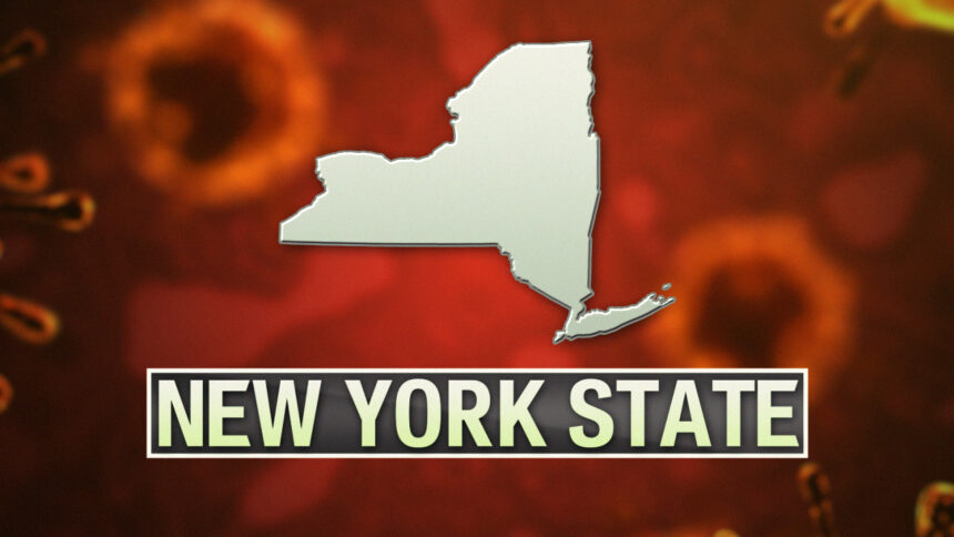 New York State Coronavirus 2 4 2 3 1 2 1 1 2 2 2 1 3.jpg