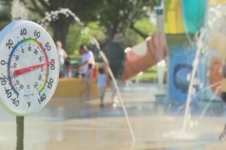 A0df1deb D282 41a8 9f7c B942649083c3 1140x641.jpg