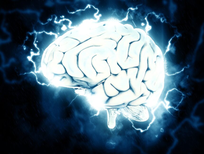 Electric Brain 4.jpg