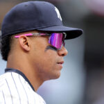 Juan Soto New York Yankees 1024x683.jpg