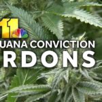 Marijuana Conviction Pardons 6670241b198d9.jpg