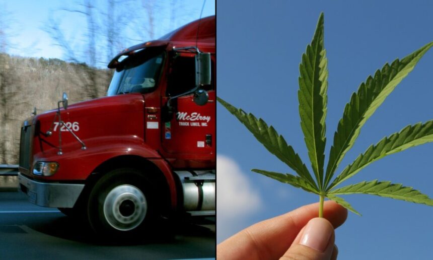 Truck Marijuana 1000x600.jpg