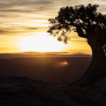 A Deadhorse Tree Sunrise 01 900x506 1.jpg