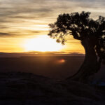 A Deadhorse Tree Sunrise 01 Scaled.jpg
