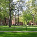 Harvardyard.jpg