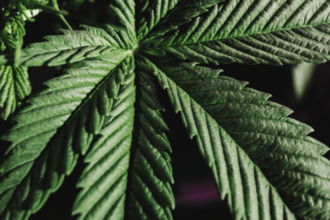 Cannabis Leaf.png