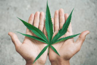 Cannabis Leaf Hands.png