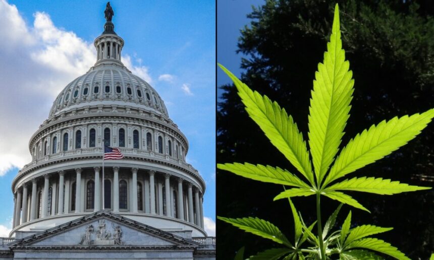 Capitol Congress Cannabis 1000x600.jpg