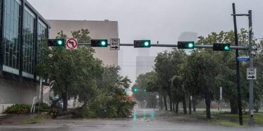 Hurricane Beryl Tree Down.jpg