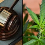 Marijuana Legislation Bill Leaf Gavel 1000x600.jpg