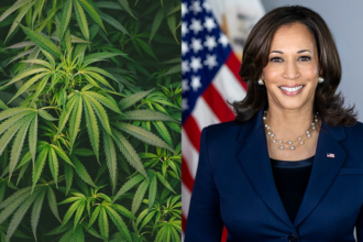 Kamalaharris Merged.670d6b12442f5.png