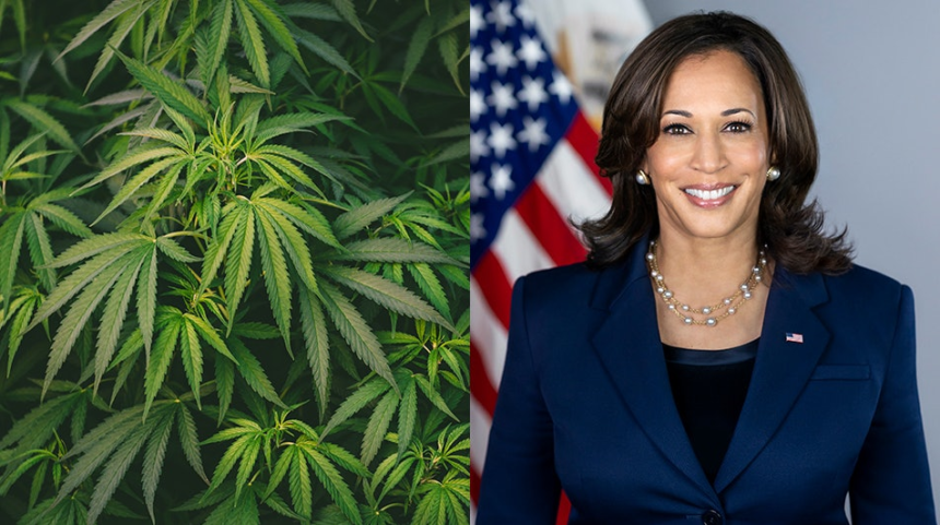 Kamalaharris Merged.670d6b12442f5.png