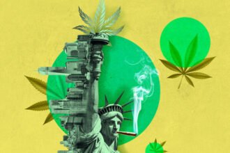 Nughub Ny Elevating Staten Islands Cannabis Game With Premium Delivery Service.jpg