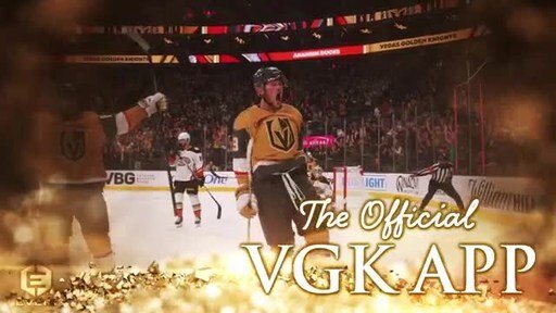 Vgk Everi.mp4.jpeg