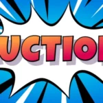 Auction