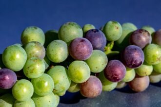 55c4eb 20241118 Bunch Of Grapes 2000.jpg