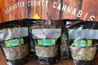 Lancaster County Cannabis.jpg