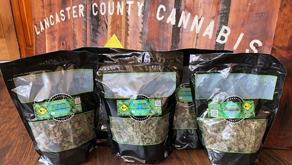 Lancaster County Cannabis.jpg