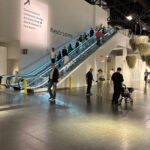 Art Basel Miami Beach Convention Center Credit Eden Herbstman 768x1024.jpg