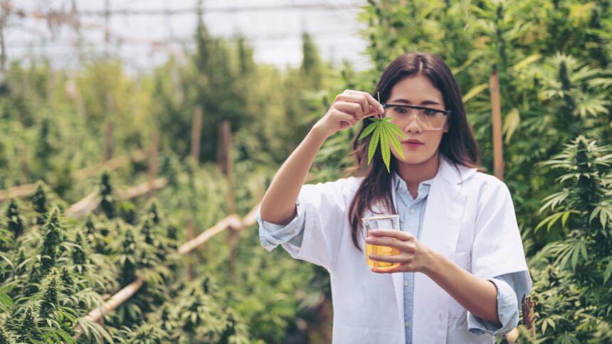 Doctor Working Inside Cannabis Cultivation Facility.jpg