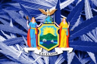 New York State Cannabis Illustration.jpg