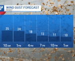 Wind Tomorrow Hour By Hour.png