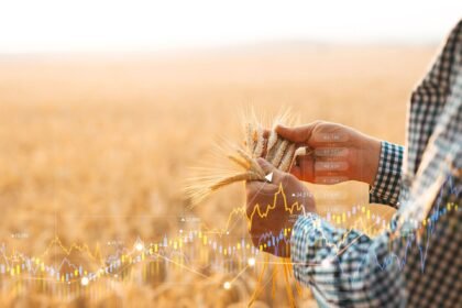 Commodity Wheat Stock 2000.jpg