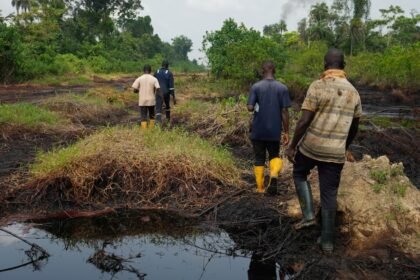 Https3a2f2fcloudfront Us East 1.images.arcpublishing.com2fcmg2fipr3o6w4mbecunveyhrx563qhu.jpg