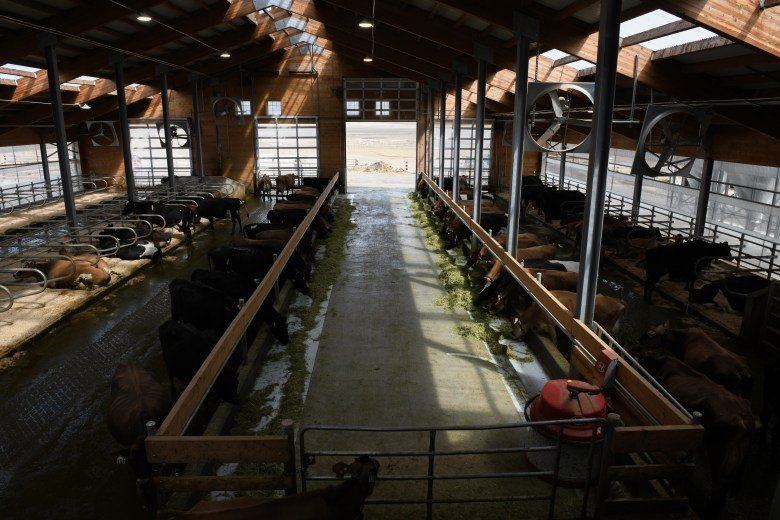 03202025 Ballerinafarmsdairy Cs 02.jpg