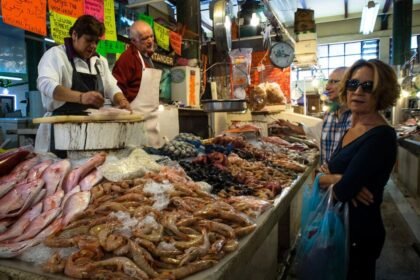 1pv7id 107gznvl00.jpeg