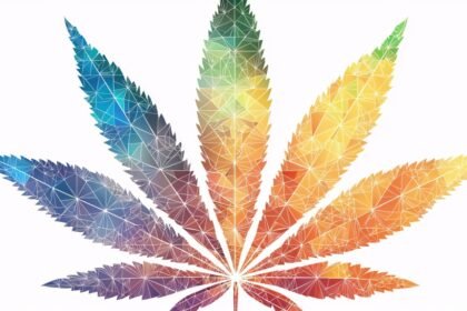 Adobestock 1249088182.jpeg