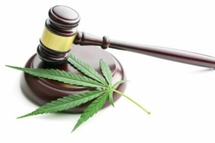 Webinar Cannabis August 9 2022 675x380 1.jpeg