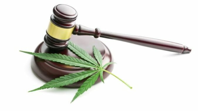 Webinar Cannabis August 9 2022 675x380 1.jpeg