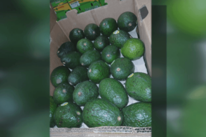 Ce49508c A7f9 4869 Acbd 60bb870fc9c7 Screenshot20250403213711.png