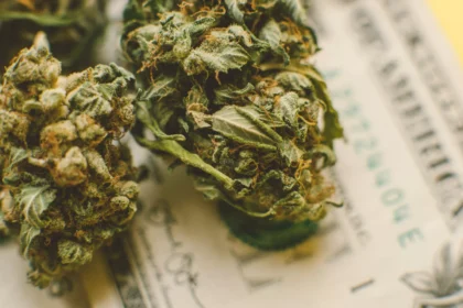 Shutterstock 1090601606 Scaled 1 Jpg.webp.webp