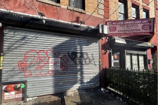 Brooklyn Cannabis Operation