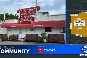 El Coyote Mexican Restaurant 95th anniversary