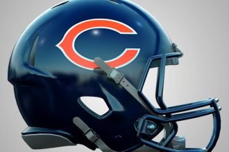 Bears stadium site