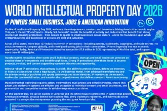 small business council