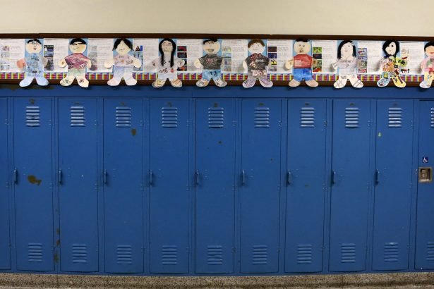 Dual Language Program