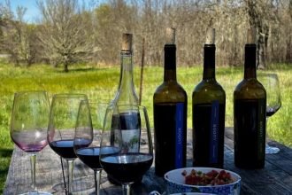 Latino wine market