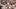 Nov 22, 2025; Austin, Texas, USA; Texas Longhorns wide receiver DeAndre Moore Jr (0) reacts after making a reception for a to