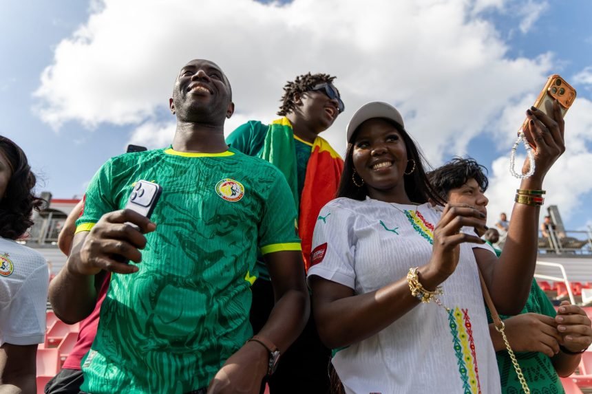 World Cup Fever
