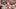 Nov 22, 2025; Austin, Texas, USA; Texas Longhorns wide receiver DeAndre Moore Jr (0) reacts after making a reception for a to